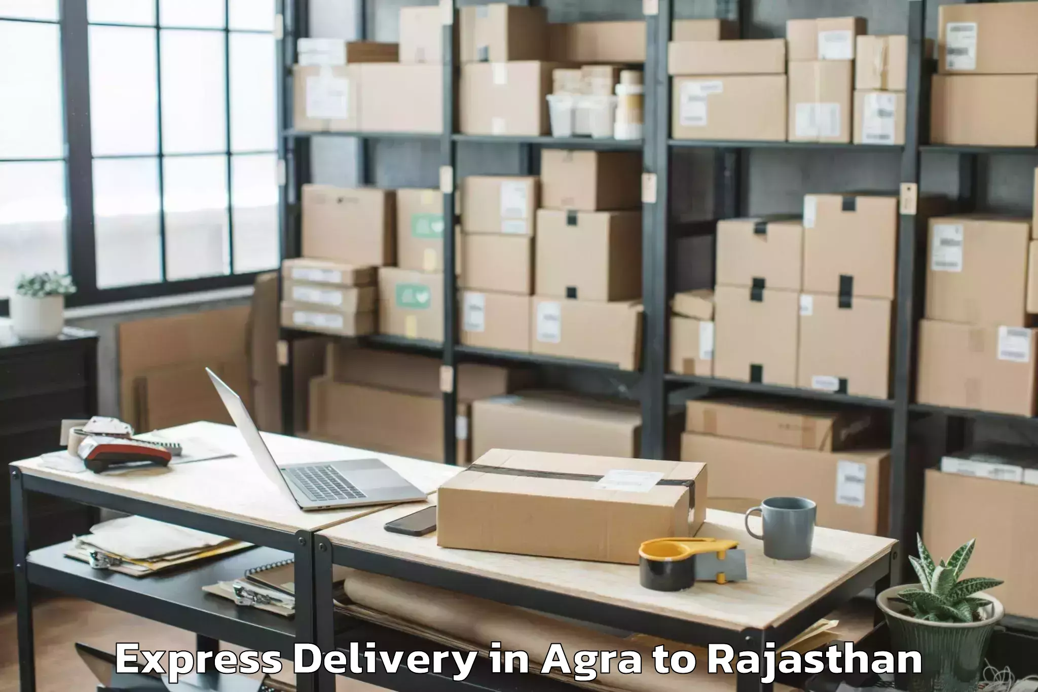 Reliable Agra to Hindaun Express Delivery